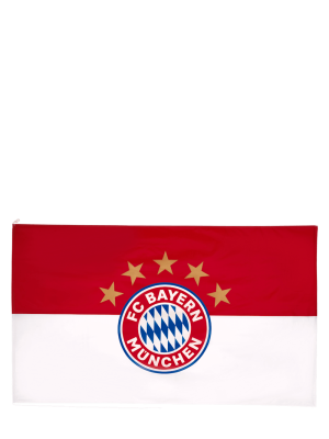 FC Bayern Hissfahne Logo 250x150 cm - Rot/Weiß