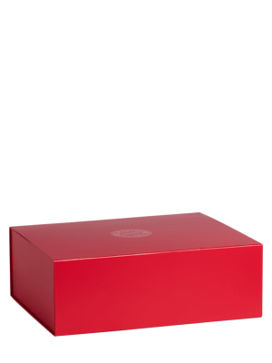 FC Bayern Geschenkbox 38,5x31x13 cm - Rot