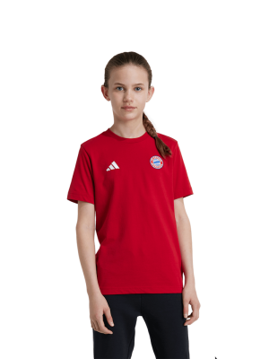 FC Bayern T-Shirt DNA - Bordeaux - Kinder - adidas