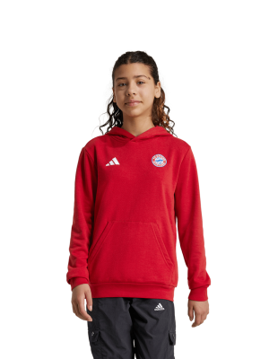 FC Bayern Hoodie DNA - Bordeaux - Kinder - adidas