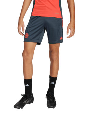 FC Bayern Trainingsshort Teamline - Grau - Kinder - adidas