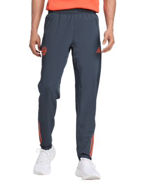 FC Bayern Präsentationspant Teamline - Grau - adidas