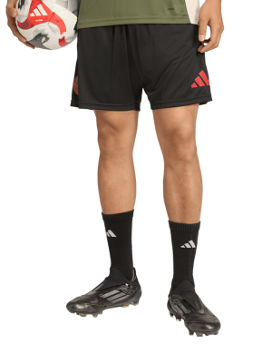 FC Bayern Trainingsshort UCL Teamline - Schwarz - adidas