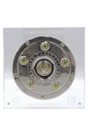 FC Bayern Meisterschale 15cm - Silber