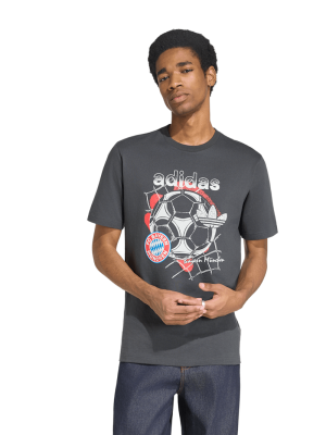 FC Bayern T-Shirt Graphic - Grau