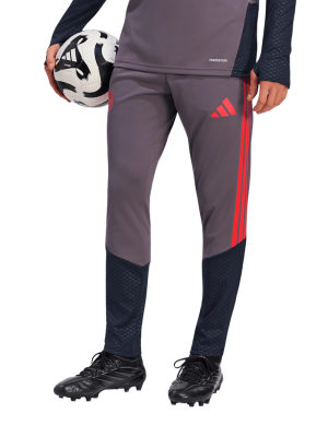 FC Bayern Trainingspant UCL Teamline - Lila - adidas